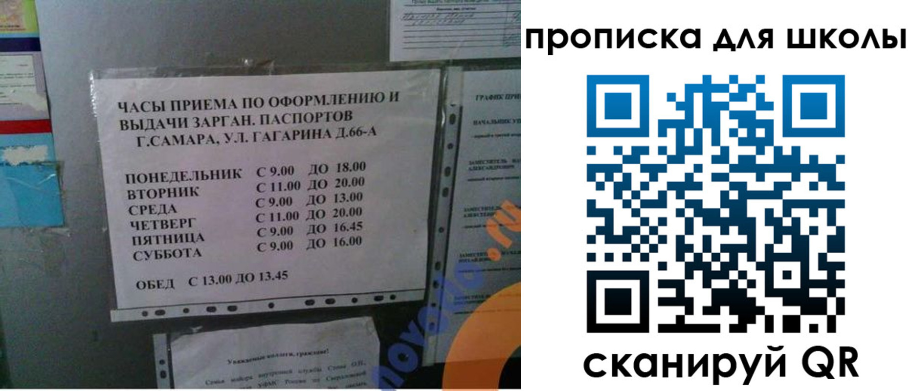 где прописаться в Дорогобуже