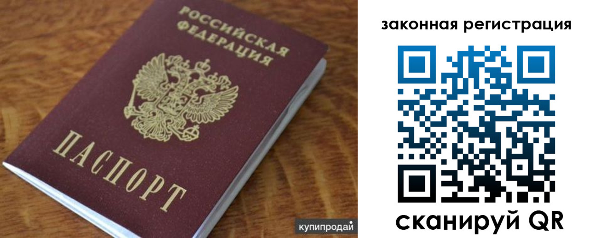 прописка гарантия в Дорогобуже